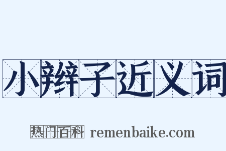 小辫子近义词是什么意思的图片